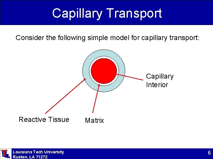 Capillary Transport Consider the following simple model for capillary transport: Capillary Interior Reactive Tissue