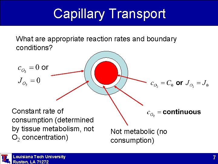 Capillary Transport What are appropriate reaction rates and boundary conditions? Constant rate of consumption