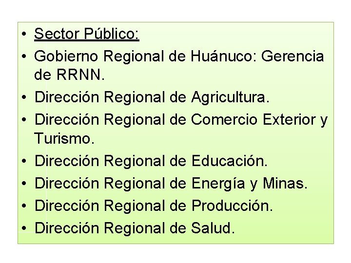  • Sector Público: • Gobierno Regional de Huánuco: Gerencia de RRNN. • Dirección