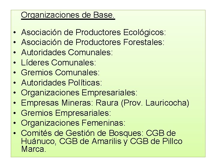 Organizaciones de Base. • • • Asociación de Productores Ecológicos: Asociación de Productores Forestales:
