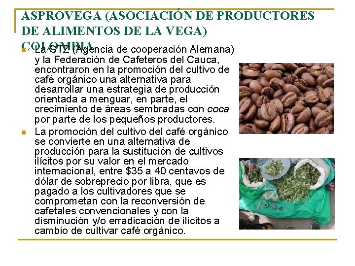 ASPROVEGA (ASOCIACIÓN DE PRODUCTORES DE ALIMENTOS DE LA VEGA) COLOMBIA n La GTZ (Agencia