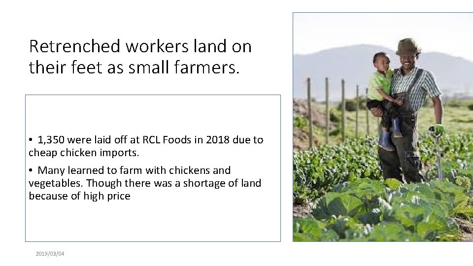 Retrenched workers land on their feet as small farmers. • 1, 350 were laid