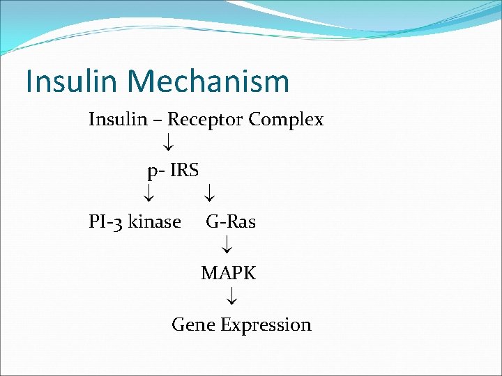Insulin Mechanism Insulin – Receptor Complex p- IRS PI-3 kinase G-Ras MAPK Gene Expression
