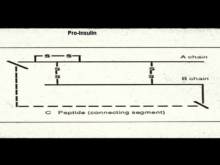 Pro-Insulin 