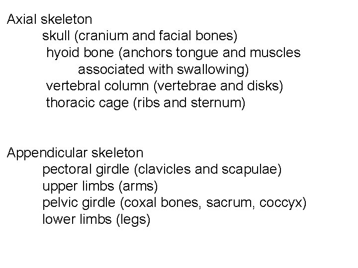 Axial skeleton skull (cranium and facial bones) hyoid bone (anchors tongue and muscles associated
