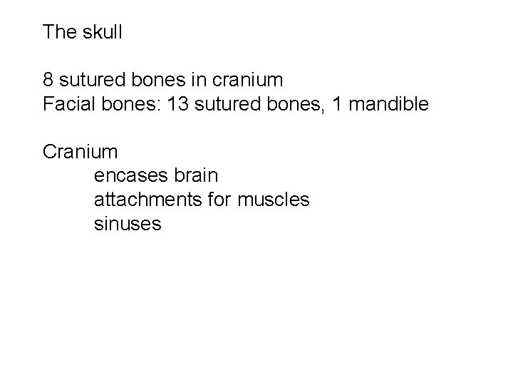 The skull 8 sutured bones in cranium Facial bones: 13 sutured bones, 1 mandible