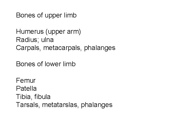 Bones of upper limb Humerus (upper arm) Radius; ulna Carpals, metacarpals, phalanges Bones of