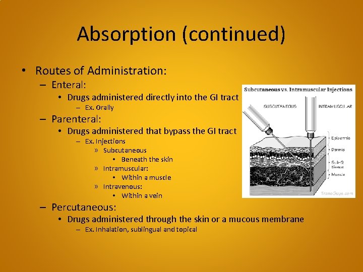 Absorption (continued) • Routes of Administration: – Enteral: • Drugs administered directly into the