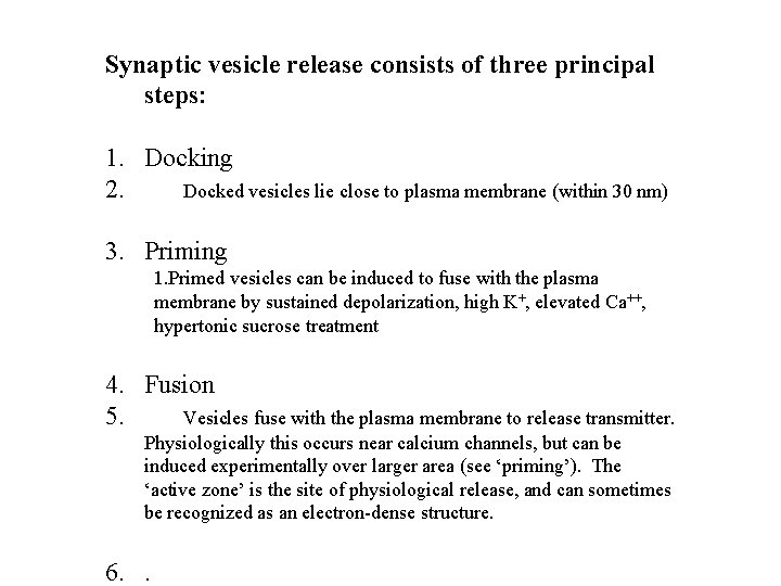 Synaptic vesicle release consists of three principal steps: 1. Docking 2. Docked vesicles lie