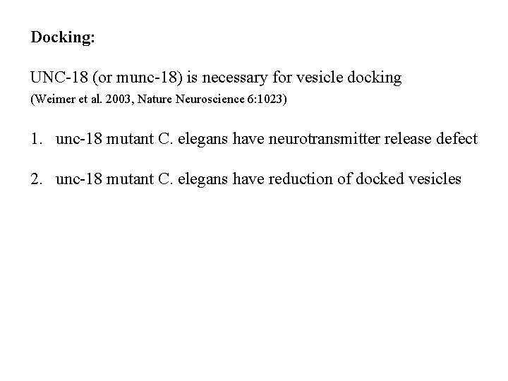 Docking: UNC-18 (or munc-18) is necessary for vesicle docking (Weimer et al. 2003, Nature