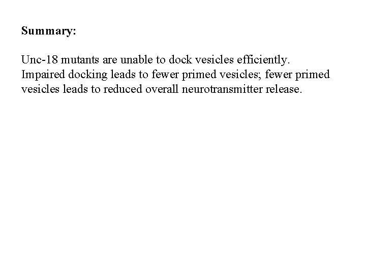 Summary: Unc-18 mutants are unable to dock vesicles efficiently. Impaired docking leads to fewer