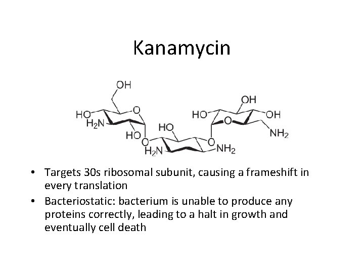 Kanamycin • Targets 30 s ribosomal subunit, causing a frameshift in every translation •