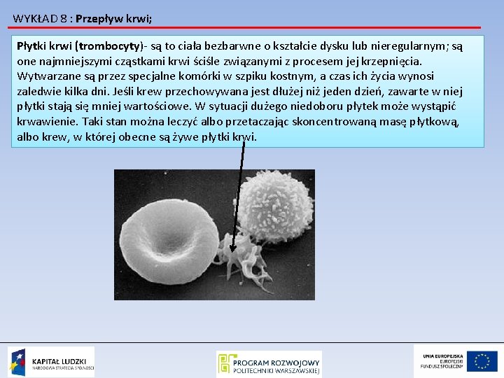 WYKŁAD 8 : Przepływ krwi; Płytki krwi (trombocyty)- są to ciała bezbarwne o kształcie