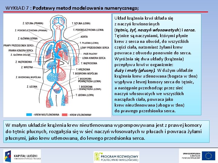 WYKŁAD 7 : Podstawy metod modelowania numerycznego; Układ krążenia krwi składa się z naczyń