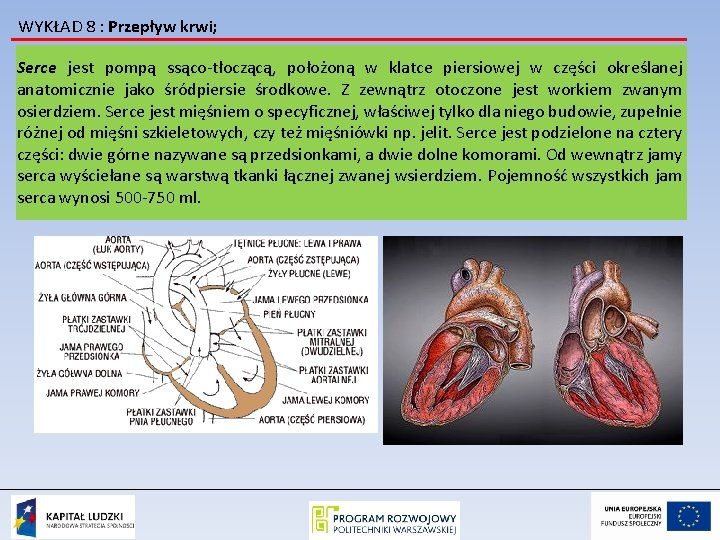 WYKŁAD 8 : Przepływ krwi; Serce jest pompą ssąco-tłoczącą, położoną w klatce piersiowej w