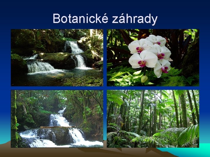 Botanické záhrady 