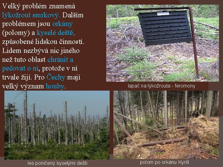 Velký problém znamená lýkožrout smrkový. Dalším problémem jsou orkány (polomy) a kyselé deště, způsobené