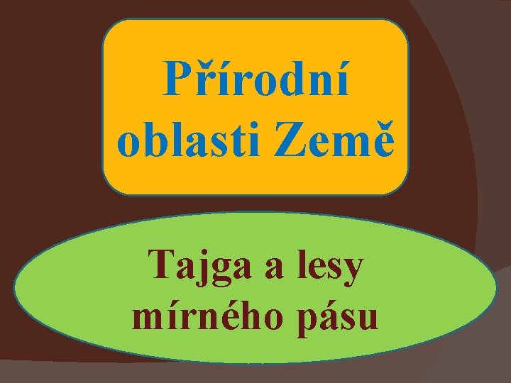 Přírodní oblasti Země Tajga a lesy mírného pásu 