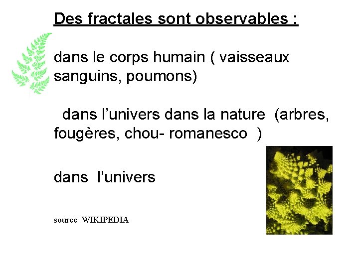 Des fractales sont observables : dans le corps humain ( vaisseaux sanguins, poumons) dans