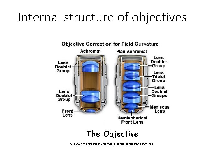 Internal structure of objectives The Objective http: //www. microscopyu. com/articles/optics/objectiveintro. html 