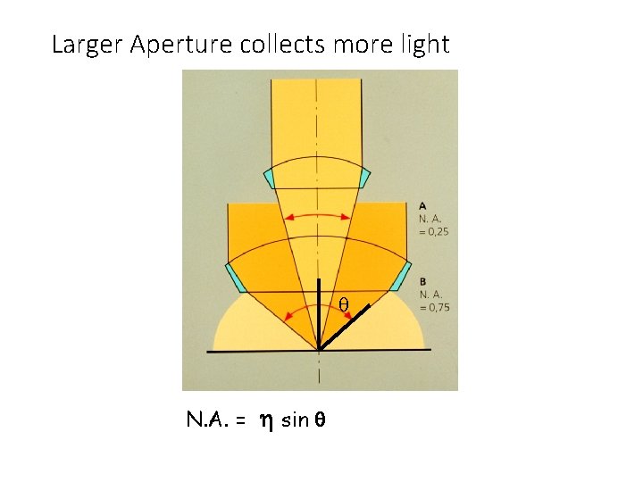 Larger Aperture collects more light N. A. = h sin q 