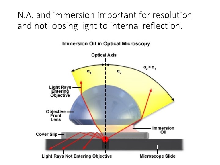 N. A. and immersion important for resolution and not loosing light to internal reflection.