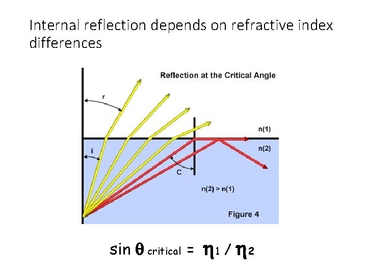 Internal reflection depends on refractive index differences sin q critical = h 1 /