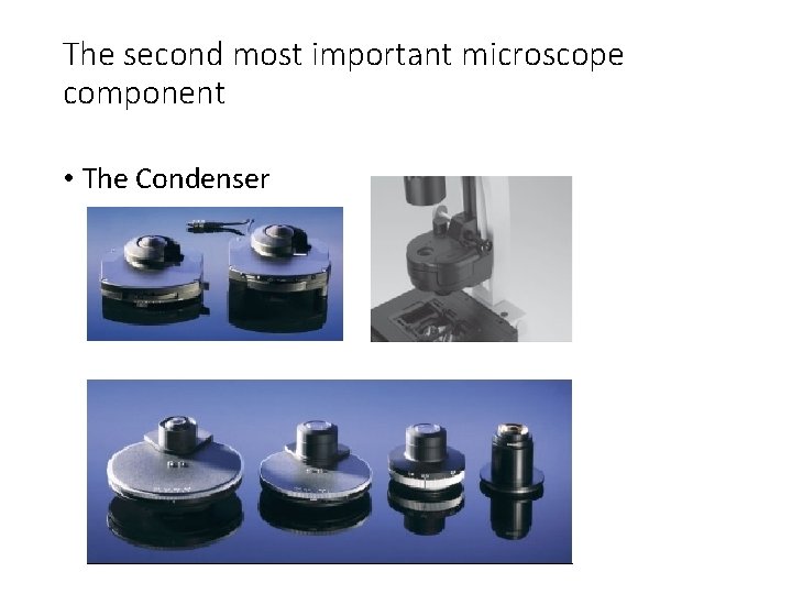 The second most important microscope component • The Condenser 