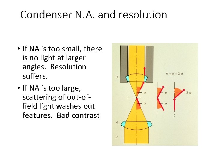 Condenser N. A. and resolution • If NA is too small, there is no