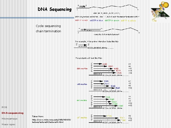 DNA Sequencing Cycle sequencing chain termination PCR DNA sequencing Microarrays Mass-spec Taken from: http: