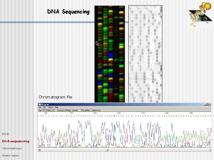 DNA Sequencing Chromatogram file PCR DNA sequencing Microarrays Mass-spec 