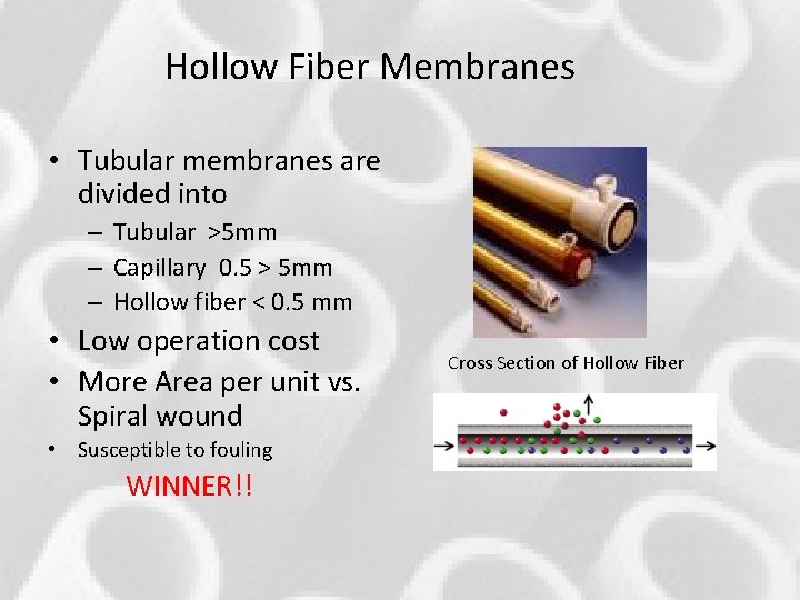 Hollow Fiber Membranes • Tubular membranes are divided into – Tubular >5 mm – Hollow Fiber Membranes • Tubular membranes are divided into – Tubular >5 mm –