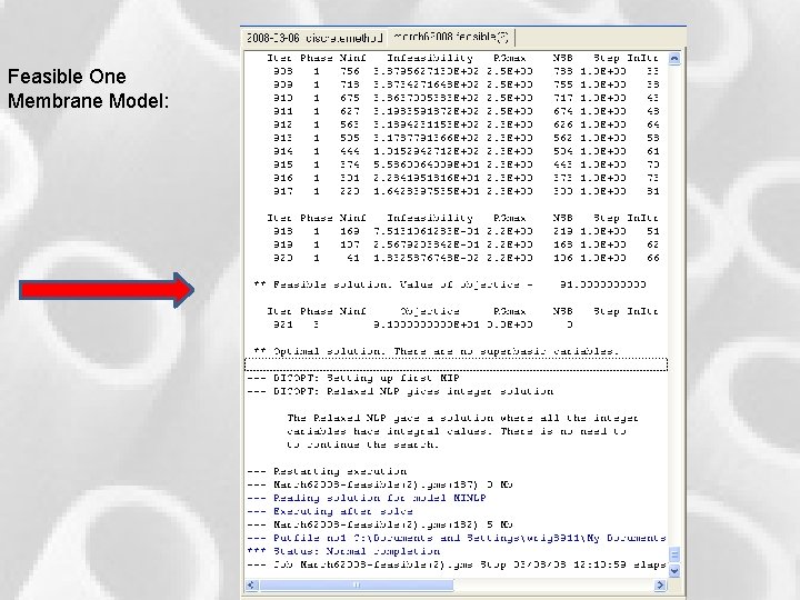 Feasible One Membrane Model: GAMS Solution Feasible One Membrane Model: GAMS Solution