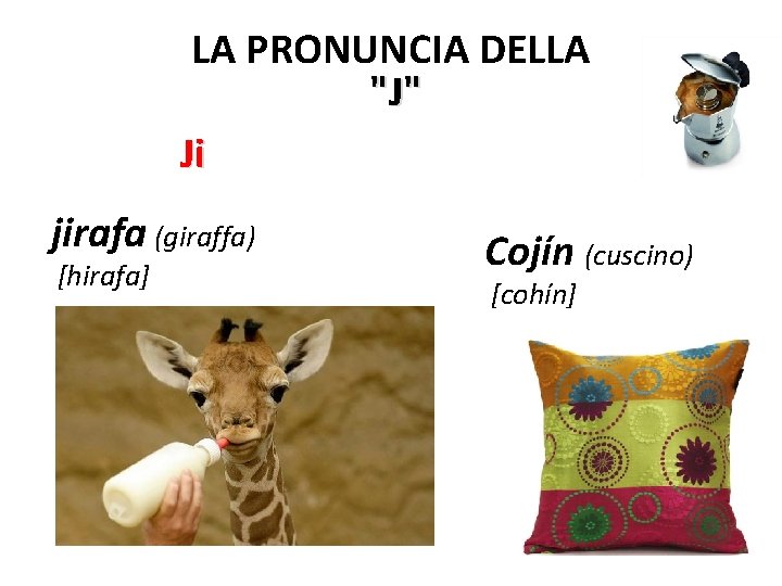 LA PRONUNCIA DELLA "J" Ji jirafa (giraffa) [hirafa] Cojín (cuscino) [cohín] 