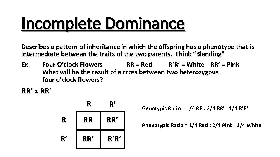 Incomplete Dominance Describes a pattern of inheritance in which the offspring has a phenotype