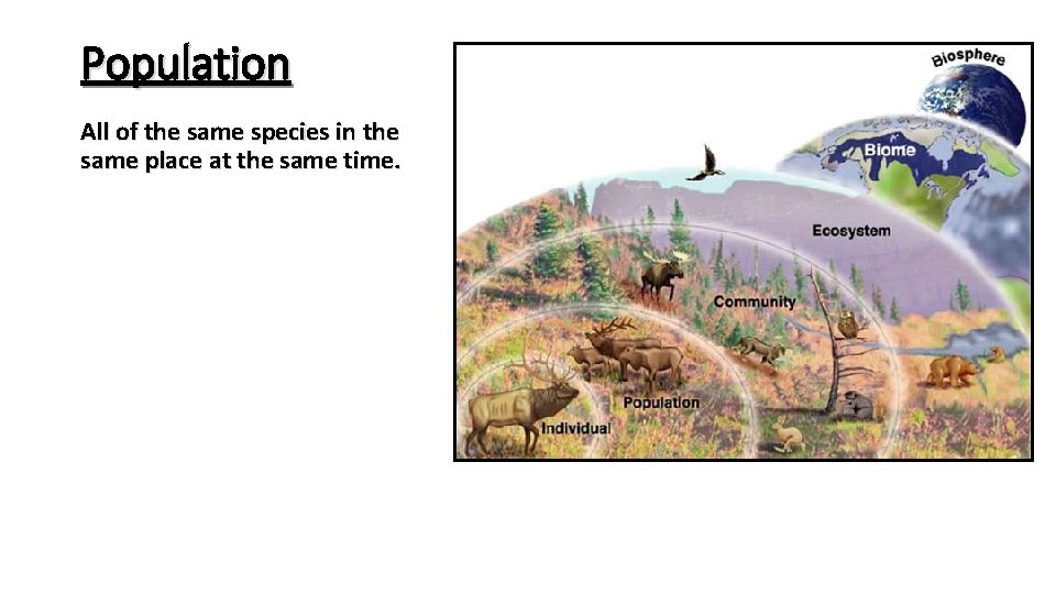 Population All of the same species in the same place at the same time.