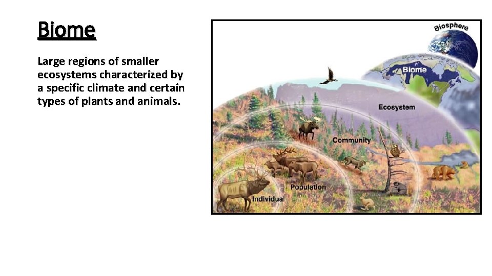 Biome Large regions of smaller ecosystems characterized by a specific climate and certain types