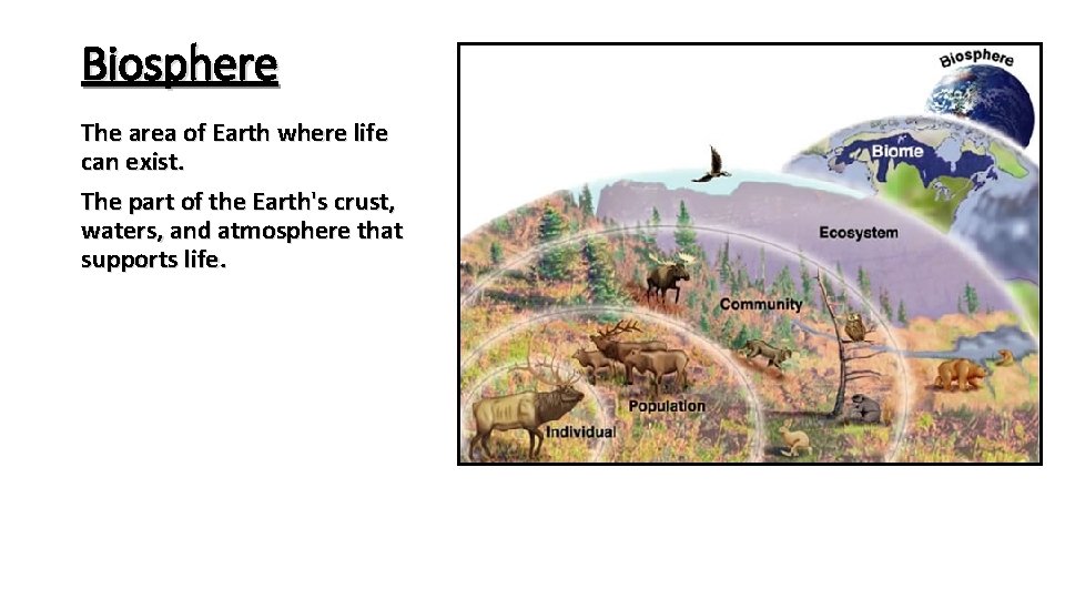 Biosphere The area of Earth where life can exist. The part of the Earth's