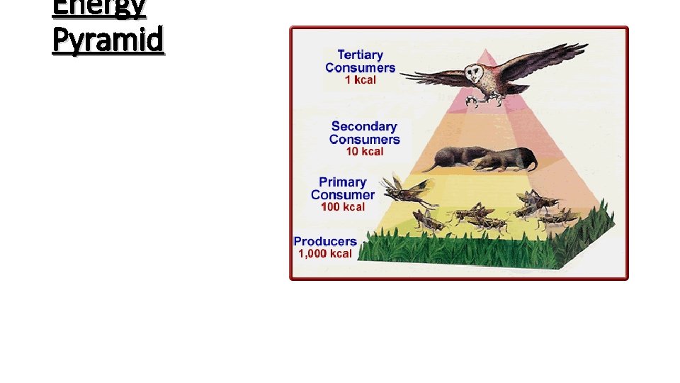 Energy Pyramid 