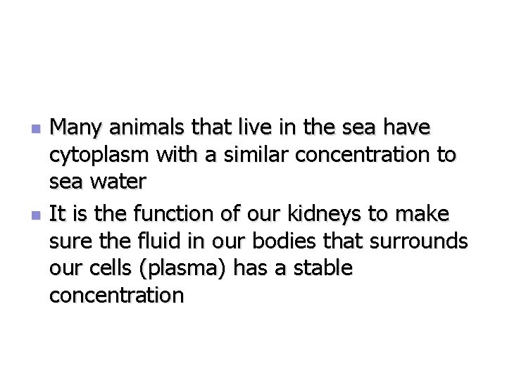 n n Many animals that live in the sea have cytoplasm with a similar