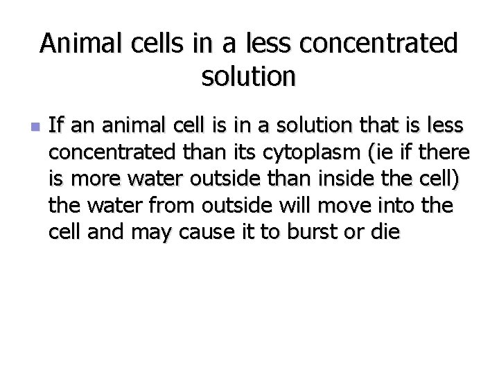 Animal cells in a less concentrated solution n If an animal cell is in