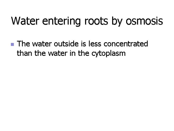 Water entering roots by osmosis n The water outside is less concentrated than the