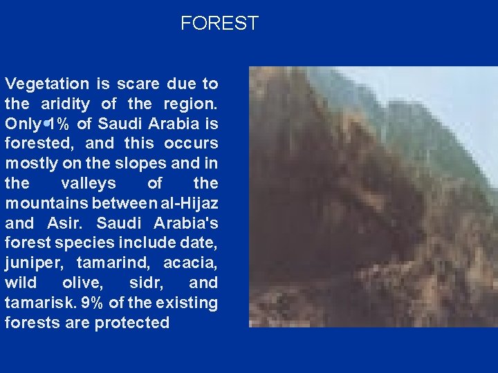 FOREST Vegetation is scare due to the aridity of the region. Only 1% of