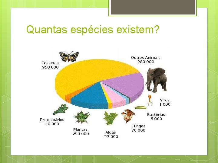 Quantas espécies existem? 