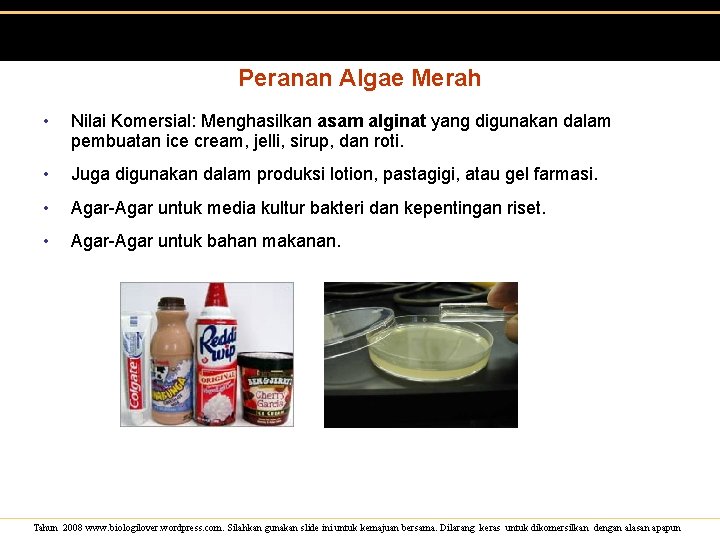 Peranan Algae Merah • Nilai Komersial: Menghasilkan asam alginat yang digunakan dalam pembuatan ice