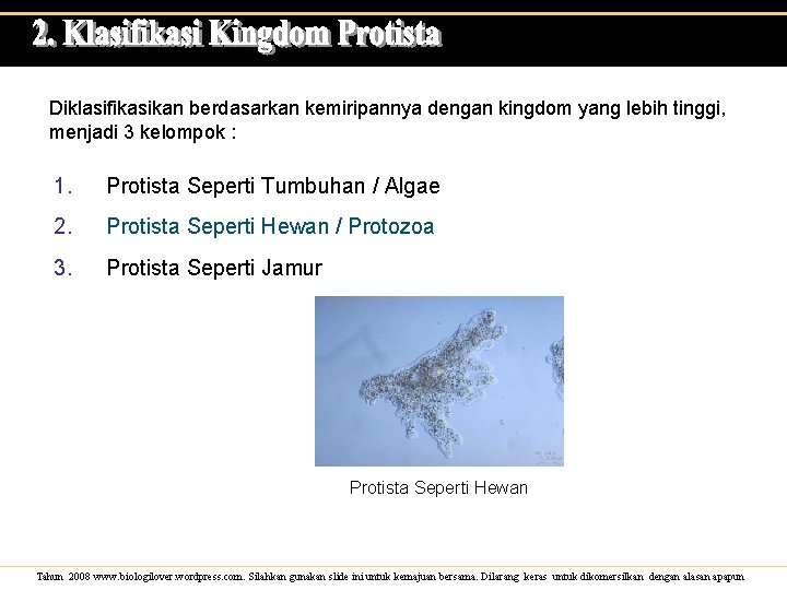 Diklasifikasikan berdasarkan kemiripannya dengan kingdom yang lebih tinggi, menjadi 3 kelompok : 1. Protista