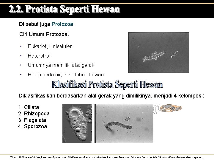 Di sebut juga Protozoa. Ciri Umum Protozoa. • Eukariot, Uniseluler • Heterotrof • Umumnya