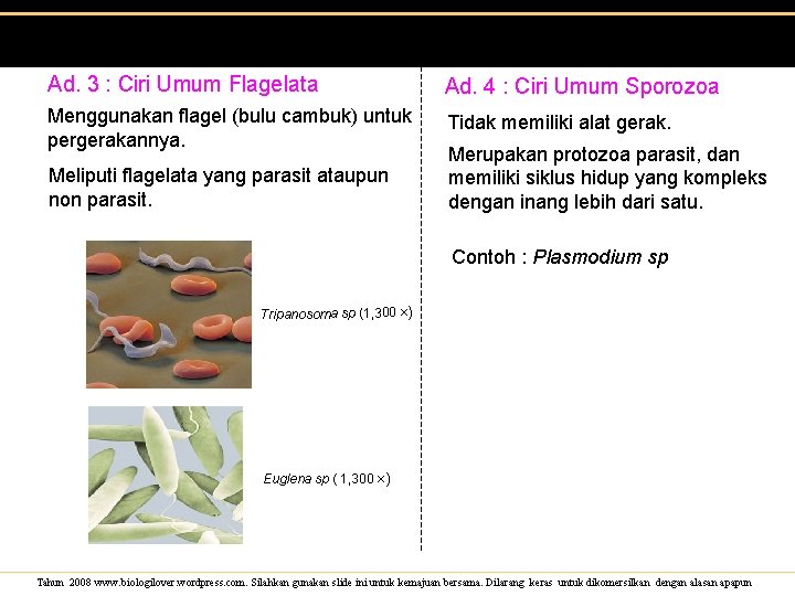 Ad. 3 : Ciri Umum Flagelata Ad. 4 : Ciri Umum Sporozoa Menggunakan flagel