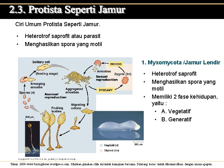 Ciri Umum Protista Seperti Jamur. • • Heterotrof saprofit atau parasit Menghasilkan spora yang