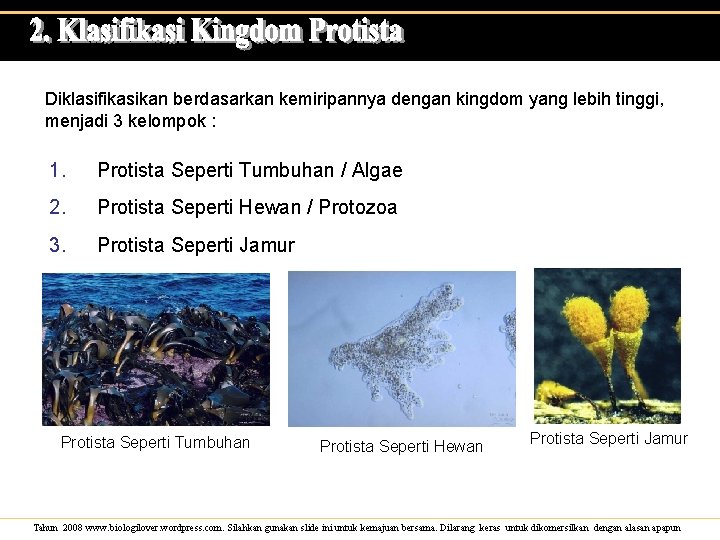 Diklasifikasikan berdasarkan kemiripannya dengan kingdom yang lebih tinggi, menjadi 3 kelompok : 1. Protista